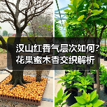 汉山红香气层次如何?花果蜜木香交织解析(图3) 汉山红香气层次如何?花果蜜木香交织解析(图3)