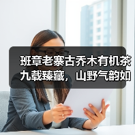 班章老寨古乔木有机茶九载臻藏,山野气韵如何封存?(图3) 班章老寨古乔木有机茶九载臻藏,山野气韵如何封存?(图3)