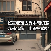 班章老寨古乔木有机茶九载臻藏,山野气韵如何封存?(图4) 班章老寨古乔木有机茶九载臻藏,山野气韵如何封存?(图4)