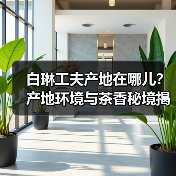 白琳工夫产地在哪儿？产地环境与茶香秘境揭秘