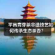 平昌青芽茶非遗技艺如何传承生态茶香?(图4) 平昌青芽茶非遗技艺如何传承生态茶香?(图4)