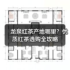 龙泉红茶产地哪里?优质红茶选购全攻略(图4) 龙泉红茶产地哪里?优质红茶选购全攻略(图4)