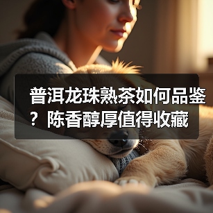 普洱龙珠熟茶如何品鉴?陈香醇厚值得收藏(图1) 普洱龙珠熟茶如何品鉴?陈香醇厚值得收藏(图1)