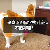 肇嘉浜路写字楼到底值不值得租?(图1) 肇嘉浜路写字楼到底值不值得租?(图1)