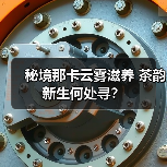 秘境那卡云雾滋养 茶韵新生何处寻?(图4) 秘境那卡云雾滋养 茶韵新生何处寻?(图4)