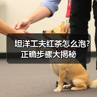 坦洋工夫红茶怎么泡?正确步骤大揭秘(图4) 坦洋工夫红茶怎么泡?正确步骤大揭秘(图4)