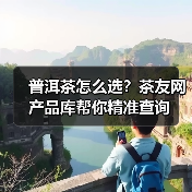 普洱茶怎么选?茶友网产品库帮你精准查询(图3) 普洱茶怎么选?茶友网产品库帮你精准查询(图3)