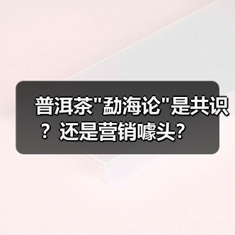 普洱茶 普洱茶