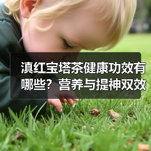 滇红宝塔茶健康功效有哪些?营养与提神双效解析 滇红宝塔茶健康功效有哪些?营养与提神双效解析