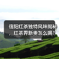 信阳红茶独特风味揭秘,红茶界新贵怎么喝? 信阳红茶独特风味揭秘,红茶界新贵怎么喝?