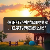 信阳红茶独特风味揭秘,红茶界新贵怎么喝?(图2) 信阳红茶独特风味揭秘,红茶界新贵怎么喝?(图2)