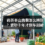 岩茶本山真假怎么辨别?紫砂十年才翻车别被套路(图4) 岩茶本山真假怎么辨别?紫砂十年才翻车别被套路(图4)