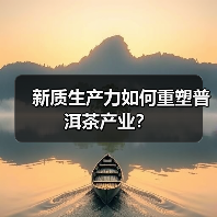 新质生产力如何重塑普洱茶产业?(图2) 新质生产力如何重塑普洱茶产业?(图2)