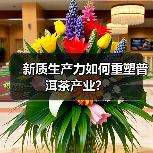 新质生产力如何重塑普洱茶产业?(图1) 新质生产力如何重塑普洱茶产业?(图1)