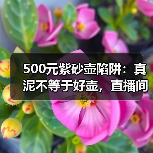 500元紫砂壶陷阱:真泥不等于好壶,直播间话术揭秘(图4) 500元紫砂壶陷阱:真泥不等于好壶,直播间话术揭秘(图4)