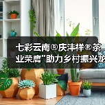 七彩云南®庆沣祥®茶业荣膺