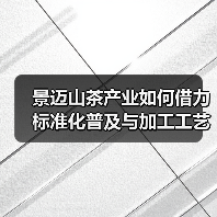 景迈山茶产业如何借力标准化普及与加工工艺升级实现高质量发展?(图2) 景迈山茶产业如何借力标准化普及与加工工艺升级实现高质量发展?(图2)