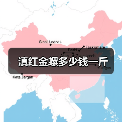 滇红金螺多少钱一斤 滇红金螺多少钱一斤