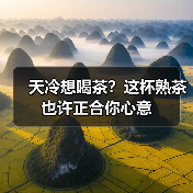 天冷想喝茶?这杯熟茶也许正合你心意(图4) 天冷想喝茶?这杯熟茶也许正合你心意(图4)