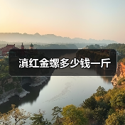 滇红金螺多少钱一斤(图4) 滇红金螺多少钱一斤(图4)