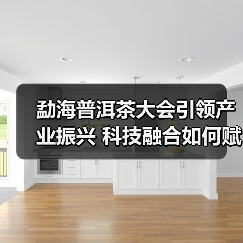 勐海普洱茶大会引领产业振兴 科技融合如何赋能未来(图1) 勐海普洱茶大会引领产业振兴 科技融合如何赋能未来(图1)