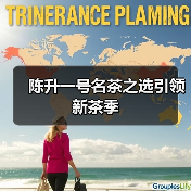 陈升一号名茶之选引领新茶季（图3）