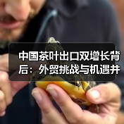 中国茶叶出口双增长背后:外贸挑战与机遇并存?(图4) 中国茶叶出口双增长背后:外贸挑战与机遇并存?(图4)