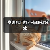 常喝祁门红茶有哪些好处(图4) 常喝祁门红茶有哪些好处(图4)