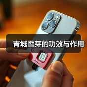 青城雪芽的功效与作用(图4) 青城雪芽的功效与作用(图4)