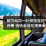 犍为双花一叶绽放芬芳传奇 传统茶香引领未来潮流(图2) 犍为双花一叶绽放芬芳传奇 传统茶香引领未来潮流(图2)