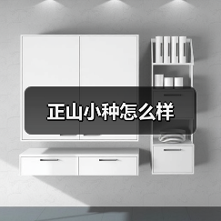 正山小种怎么样(图4) 正山小种怎么样(图4)