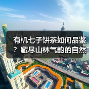 有机七子饼茶如何品鉴?藏尽山林气韵的自然风味(图1) 有机七子饼茶如何品鉴?藏尽山林气韵的自然风味(图1)