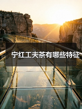 宁红工夫茶有哪些特征(图2) 宁红工夫茶有哪些特征(图2)