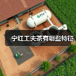 宁红工夫茶有哪些特征(图4) 宁红工夫茶有哪些特征(图4)