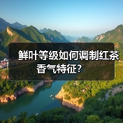 鲜叶等级如何调制红茶香气特征?(图1) 鲜叶等级如何调制红茶香气特征?(图1)