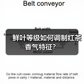 鲜叶等级如何调制红茶香气特征?(图4) 鲜叶等级如何调制红茶香气特征?(图4)