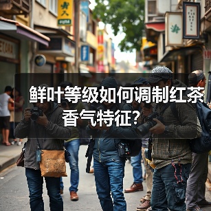 鲜叶等级如何调制红茶香气特征?(图3) 鲜叶等级如何调制红茶香气特征?(图3)