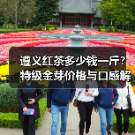 遵义红茶多少钱一斤?特级金芽价格与口感解析(图2) 遵义红茶多少钱一斤?特级金芽价格与口感解析(图2)