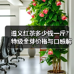 遵义红茶多少钱一斤?特级金芽价格与口感解析(图3) 遵义红茶多少钱一斤?特级金芽价格与口感解析(图3)
