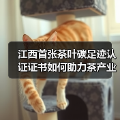 江西首张茶叶碳足迹认证证书如何助力茶产业?(图2) 江西首张茶叶碳足迹认证证书如何助力茶产业?(图2)