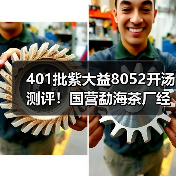 401批紫大益8052开汤测评!国营勐海茶厂经典,万元级老茶 401批紫大益8052开汤测评!国营勐海茶厂经典,万元级老茶