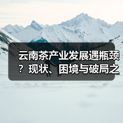 云南茶产业发展遇瓶颈?现状、困境与破局之道全解析(图3) 云南茶产业发展遇瓶颈?现状、困境与破局之道全解析(图3)