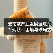 云南茶产业发展遇瓶颈?现状、困境与破局之道全解析(图4) 云南茶产业发展遇瓶颈?现状、困境与破局之道全解析(图4)