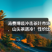 消费降级冲击茶叶市场,山头茶遇冷!性价比成新风口?(图3) 消费降级冲击茶叶市场,山头茶遇冷!性价比成新风口?(图3)