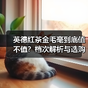 英德红茶金毛毫到底值不值?档次解析与选购指南(图2) 英德红茶金毛毫到底值不值?档次解析与选购指南(图2)