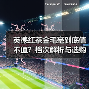 英德红茶金毛毫到底值不值?档次解析与选购指南(图3) 英德红茶金毛毫到底值不值?档次解析与选购指南(图3)