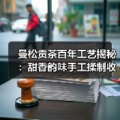 曼松贡茶百年工艺揭秘:甜香韵味手工揉制收藏佳品(图3) 曼松贡茶百年工艺揭秘:甜香韵味手工揉制收藏佳品(图3)