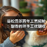 曼松贡茶百年工艺揭秘:甜香韵味手工揉制收藏佳品(图4) 曼松贡茶百年工艺揭秘:甜香韵味手工揉制收藏佳品(图4)