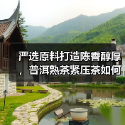 严选原料打造陈香醇厚,普洱熟茶紧压茶如何品鉴?(图2) 严选原料打造陈香醇厚,普洱熟茶紧压茶如何品鉴?(图2)