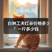 白琳工夫红茶价格多少？一斤多少钱